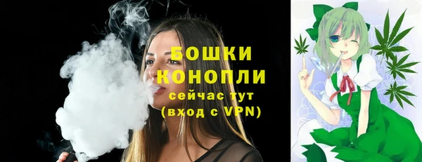 Альфа ПВП Гусев