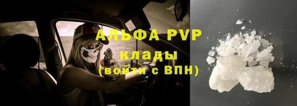 Альфа ПВП Гусев