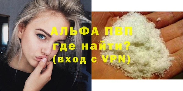 Альфа ПВП Гусев