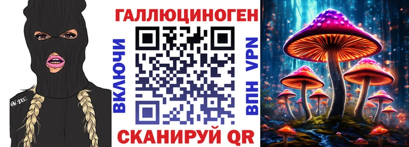 наркошоп  Бородино  Псилоцибиновые грибы Psilocybine cubensis 
